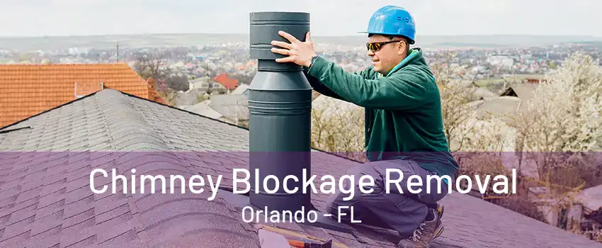  Chimney Blockage Removal Orlando - FL